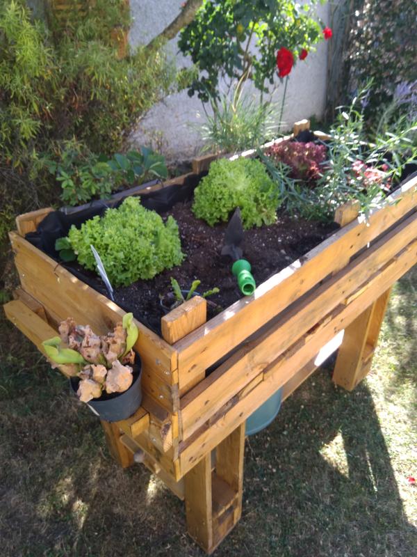 Abra o modal de avaliação 2 de 2