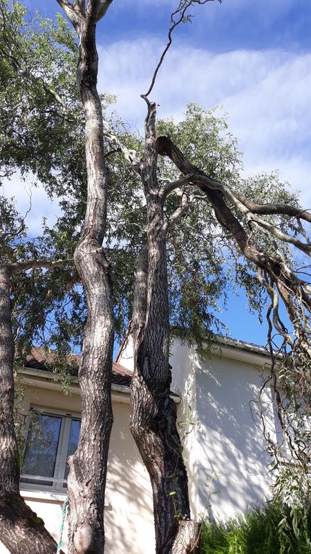 Ouvrir la fenêtre modale de l'avis 1 sur 2