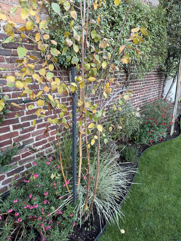 Ouvrir la fenêtre modale de l'avis 1 sur 1