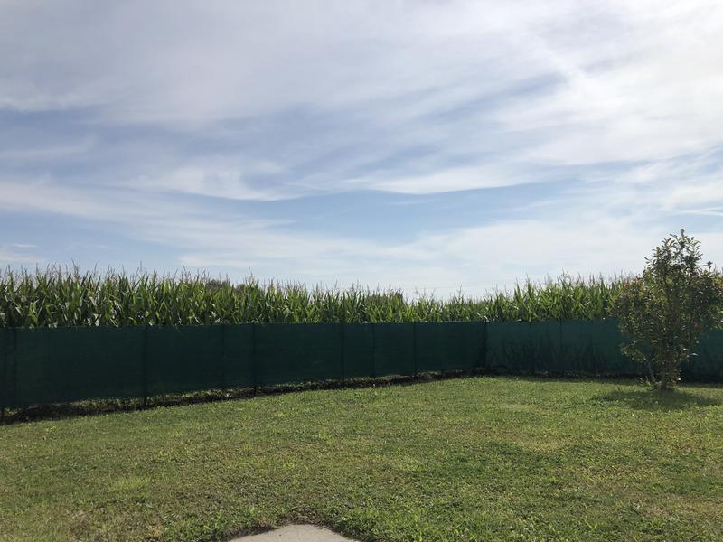 Revisione aperta modale 1 su 1