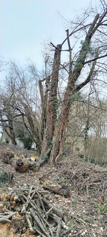 Ouvrir la fenêtre modale de l'avis 3 sur 6