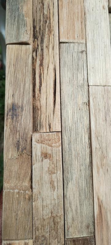 Revisione aperta modale 2 su 3