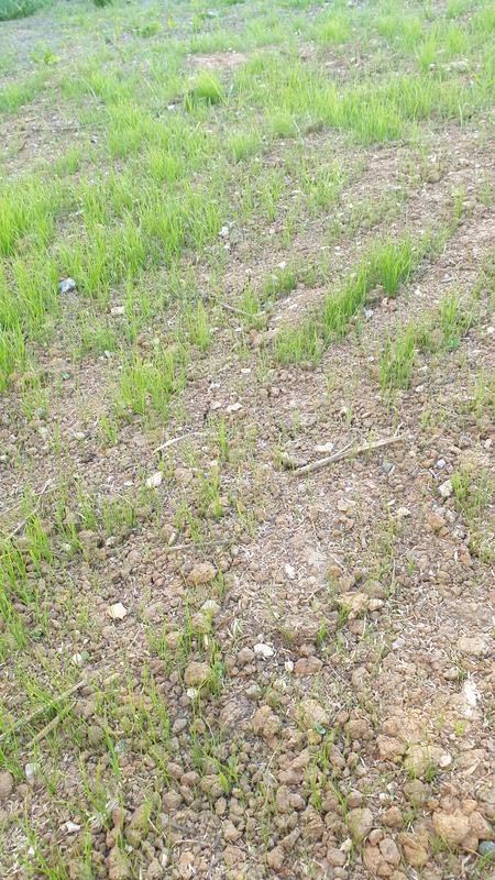 Ouvrir la fenêtre modale de l'avis 1 sur 2