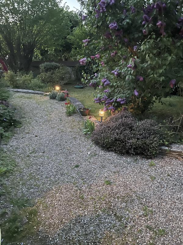 Abra o modal de avaliação 1 de 2