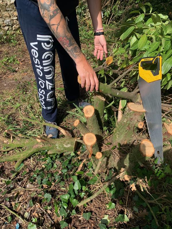 Ouvrir la fenêtre modale de l'avis 4 sur 4