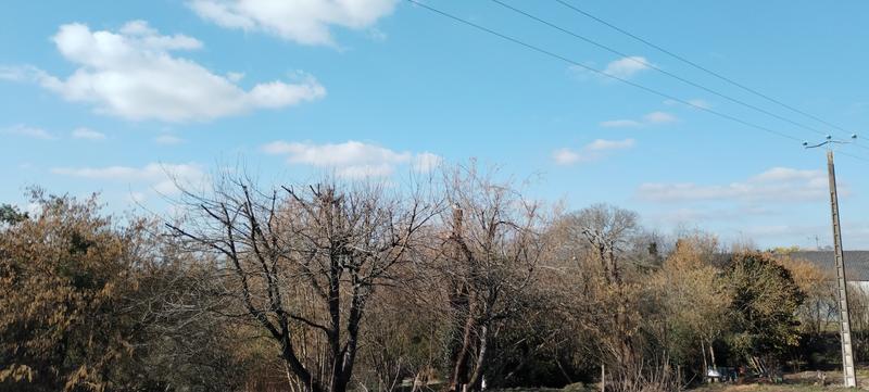 Ouvrir la fenêtre modale de l'avis 4 sur 6