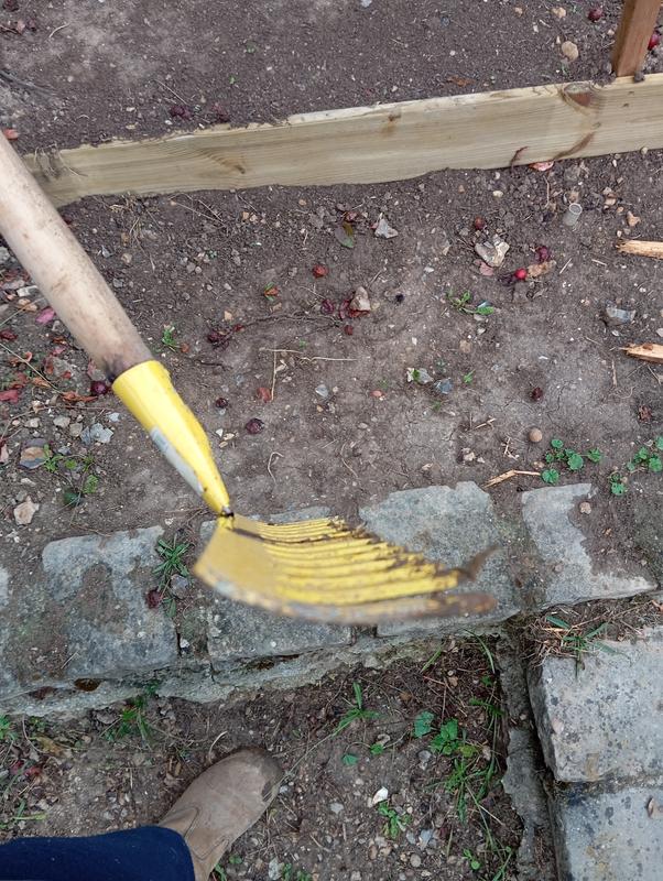 Abra o modal de avaliação 3 de 3