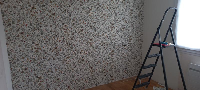 Ouvrir la fenêtre modale de l'avis 1 sur 1