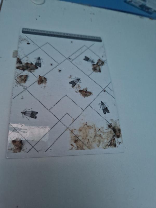 Ouvrir la fenêtre modale de l'avis 1 sur 1