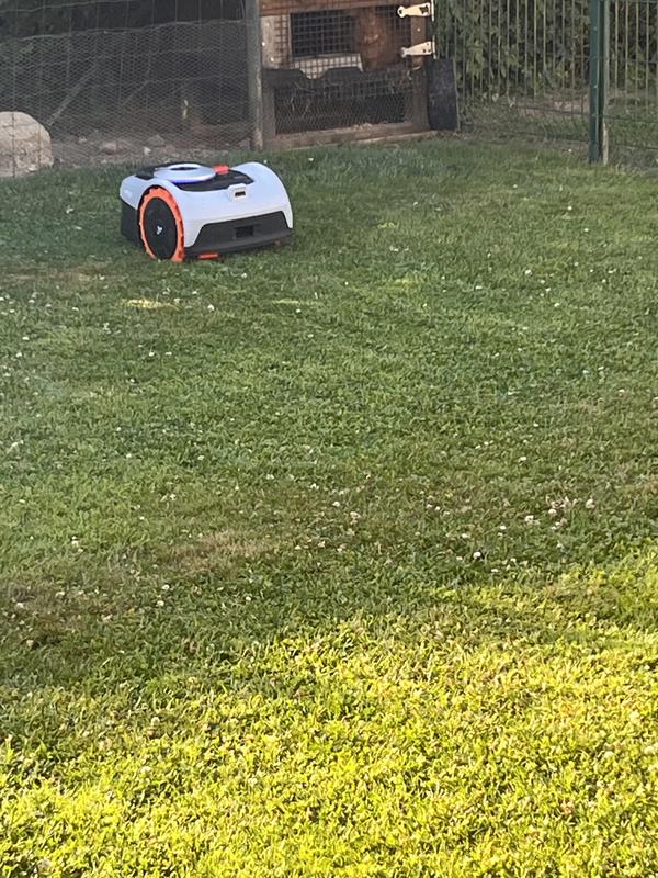 Revisione aperta modale 1 su 1