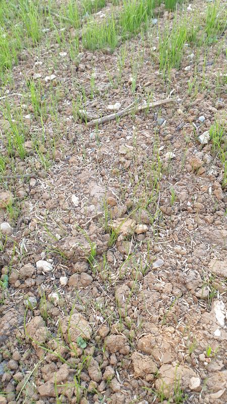 Ouvrir la fenêtre modale de l'avis 2 sur 2