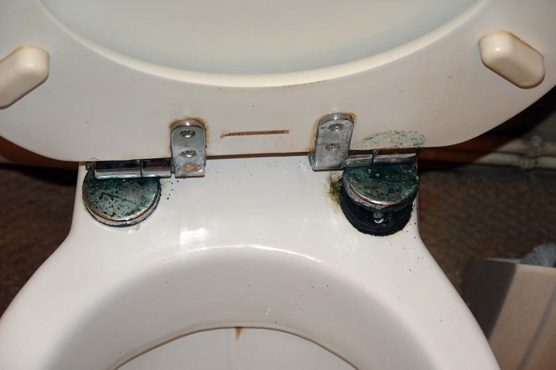 Otwórz okno opinii 1 na stronie 1