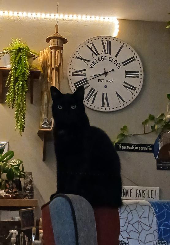 Ouvrir la fenêtre modale de l'avis 1 sur 1