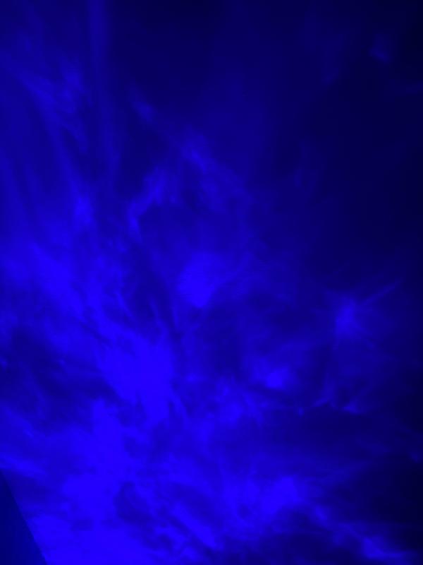 Revisione aperta modale 3 su 4