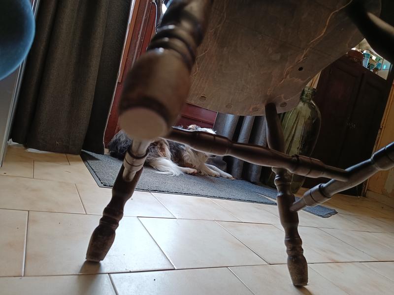 Abra o modal de avaliação 1 de 1