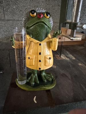 Pluviometro A Forma Di Rana - Misuratore Pioggia Da Giardino 12cm, Resina Colorata