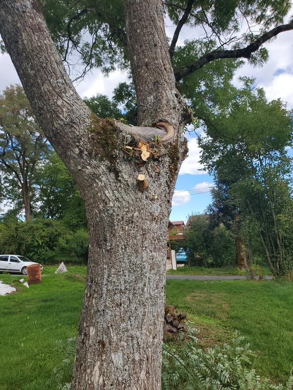 Ouvrir la fenêtre modale de l'avis 2 sur 2