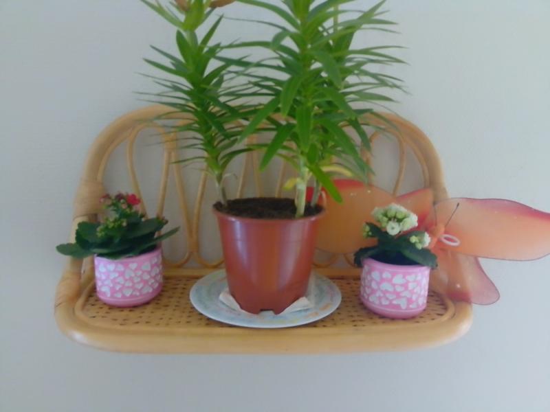 Ouvrir la fenêtre modale de l'avis 1 sur 1