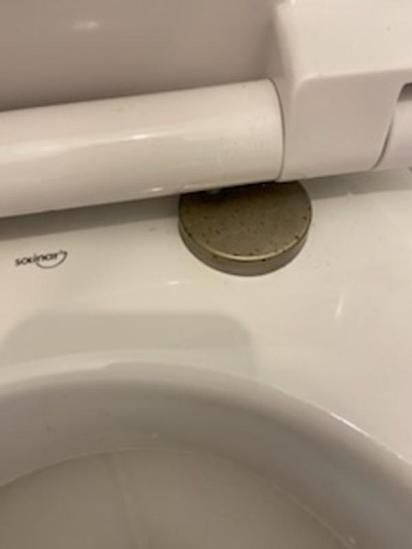 Ouvrir la fenêtre modale de l'avis 4 sur 5