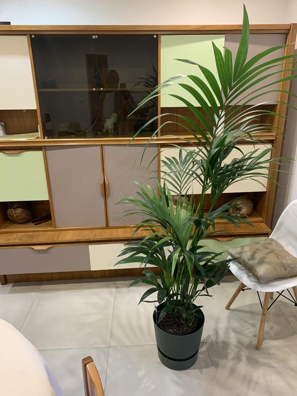 Ouvrir la fenêtre modale de l'avis 2 sur 3