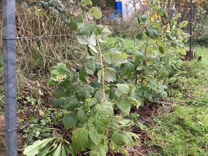Ouvrir la fenêtre modale de l'avis 2 sur 3