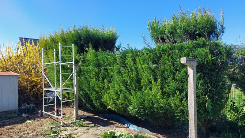 Ouvrir la fenêtre modale de l'avis 1 sur 1