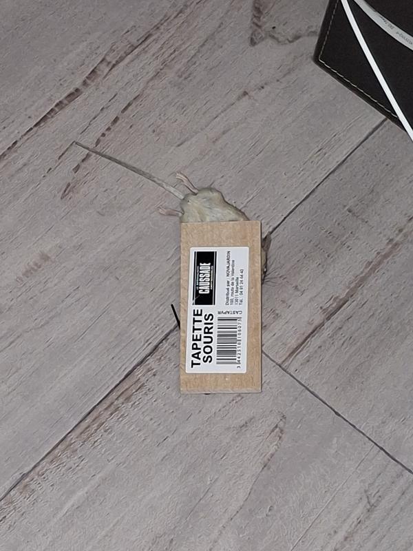 Ouvrir la fenêtre modale de l'avis 1 sur 1