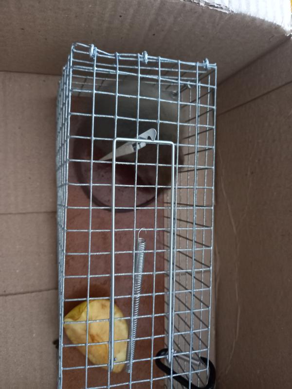 Ouvrir la fenêtre modale de l'avis 2 sur 2