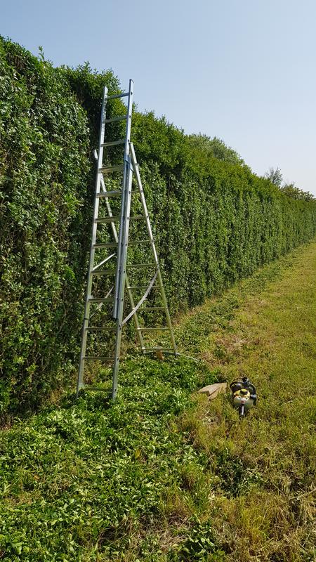 Ouvrir la fenêtre modale de l'avis 1 sur 1