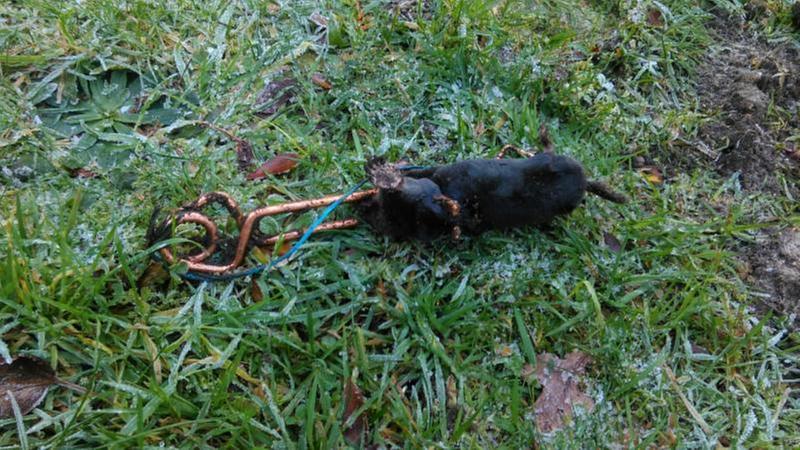 Ouvrir la fenêtre modale de l'avis 1 sur 1