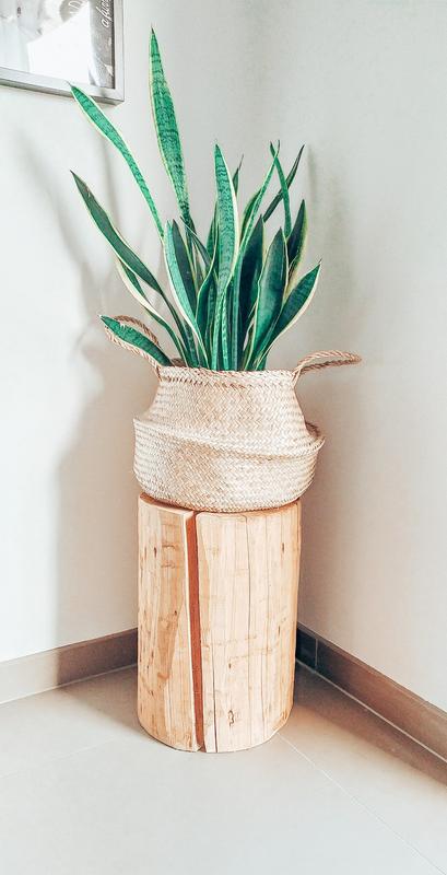 Abra o modal de avaliação 1 de 1