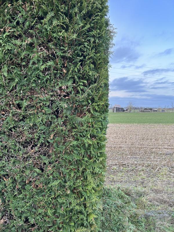 Ouvrir la fenêtre modale de l'avis 1 sur 3