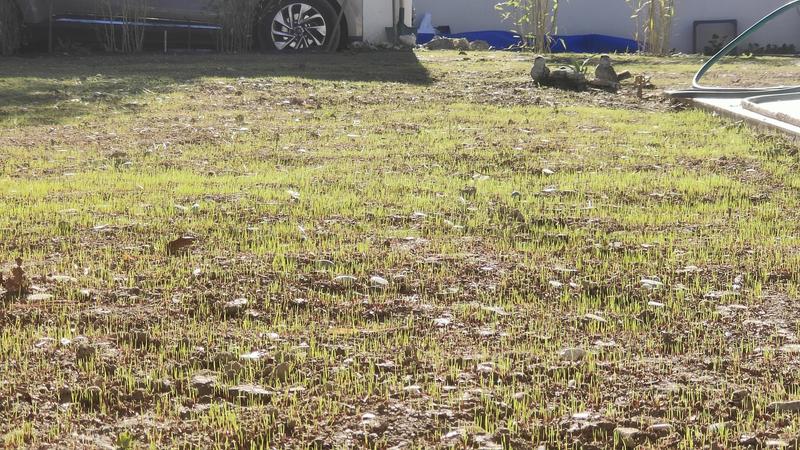 Ouvrir la fenêtre modale de l'avis 2 sur 4