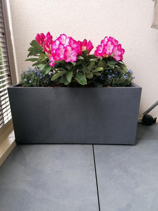 Ouvrir la fenêtre modale de l'avis 1 sur 1