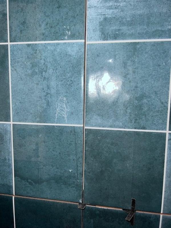 Revisione aperta modale 1 su 2