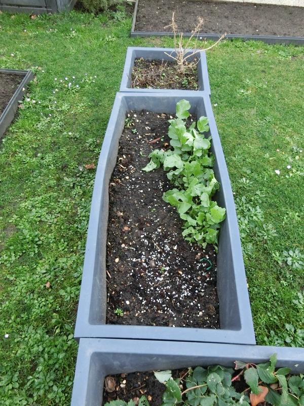 Ouvrir la fenêtre modale de l'avis 4 sur 4