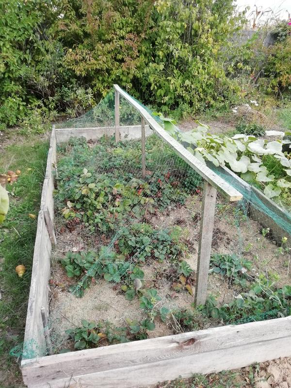 Ouvrir la fenêtre modale de l'avis 2 sur 2