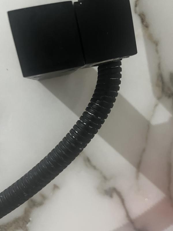 Revisione aperta modale 1 su 2