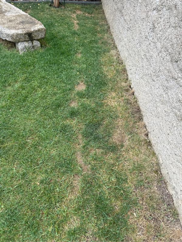 Revisione aperta modale 4 su 4