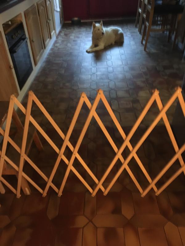 Revisione aperta modale 1 su 1