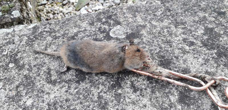 Ouvrir la fenêtre modale de l'avis 2 sur 2