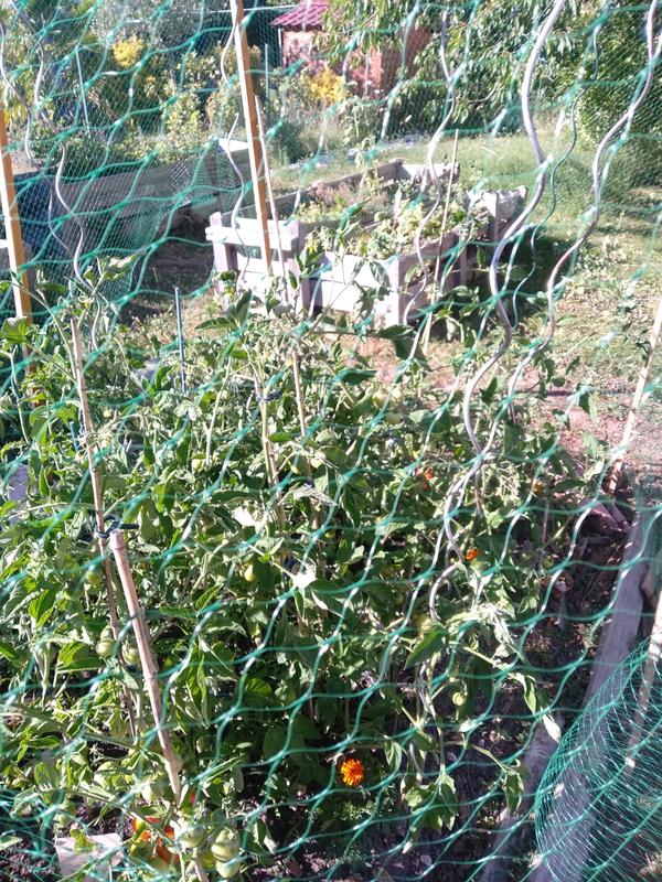 Ouvrir la fenêtre modale de l'avis 3 sur 3