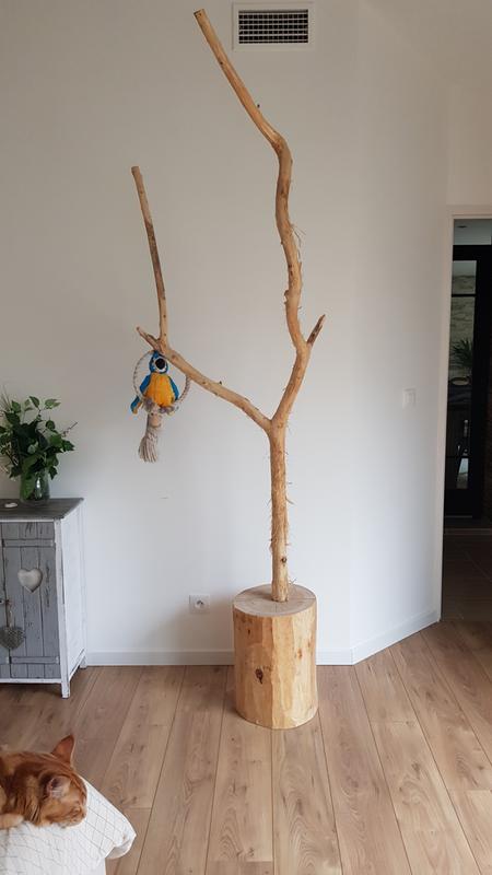 Abra o modal de avaliação 1 de 1