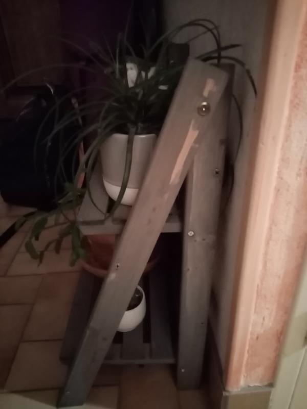 Ouvrir la fenêtre modale de l'avis 1 sur 1