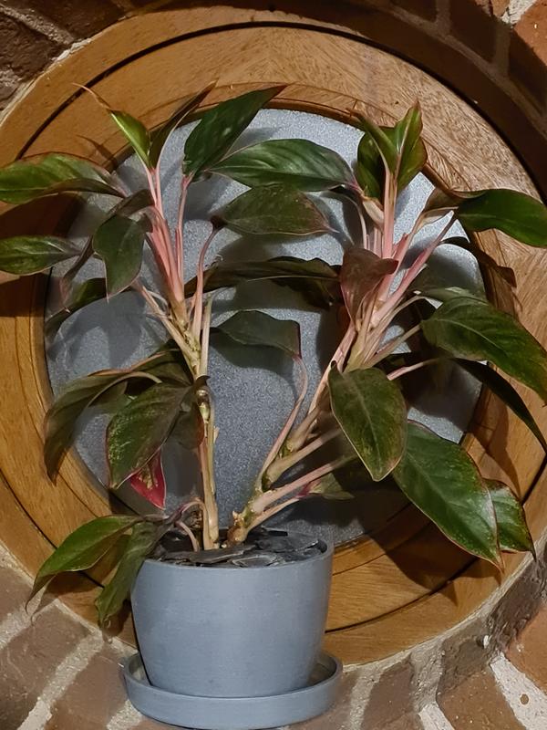 Ouvrir la fenêtre modale de l'avis 1 sur 2