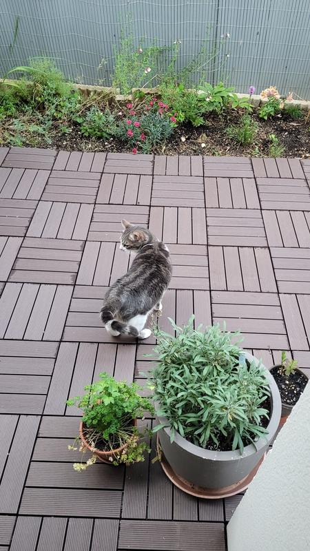 Revisione aperta modale 1 su 1