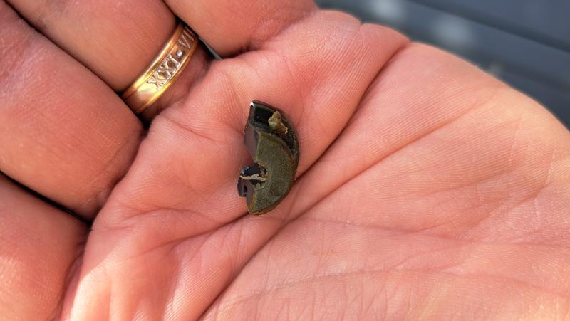 Revisione aperta modale 3 su 3