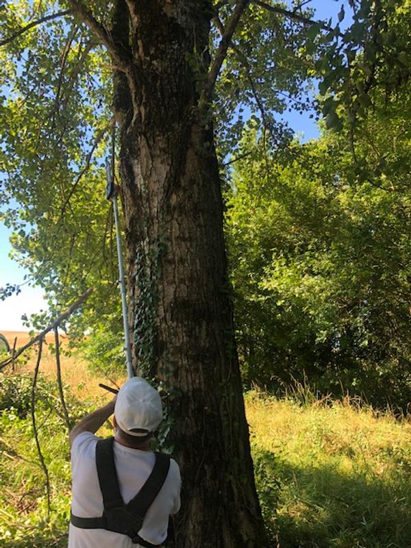 Ouvrir la fenêtre modale de l'avis 2 sur 2