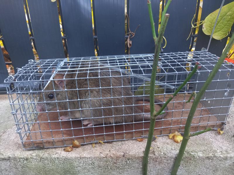 Ouvrir la fenêtre modale de l'avis 1 sur 2