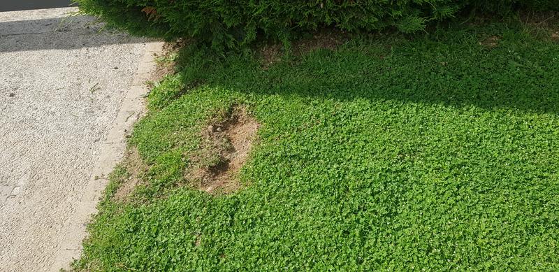 Ouvrir la fenêtre modale de l'avis 3 sur 6